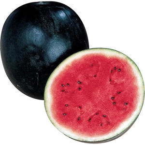 image:imageBurpee Sugar Baby Watermelon Seeds 75 seeds