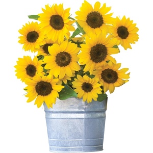 image:imageBurpee Sunny Bunch Sunflower Seeds 25 seedsSunny Bunch