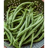 image:imageBurpee Fordhook 242 Bush Bean Seeds 4 ounces of seedBlue Lake 274
