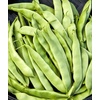 image:imageBurpee Fordhook 242 Bush Bean Seeds 4 ounces of seedEarly Italian