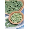 image:imageBurpee Fordhook 242 Bush Bean Seeds 4 ounces of seedFordhook 242
