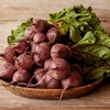 image:imageBurpee Detroit Dark Red Beet Seeds  Classic DualPurpose Root amp Greens
