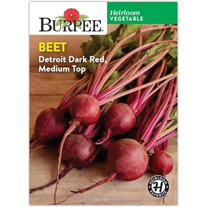 image:imageBurpee Detroit Dark Red Beet Seeds  Classic DualPurpose Root amp Greens